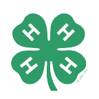 4H