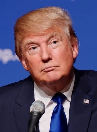 Donald_Trump_August_19_2015_cropped-compressor.jpg